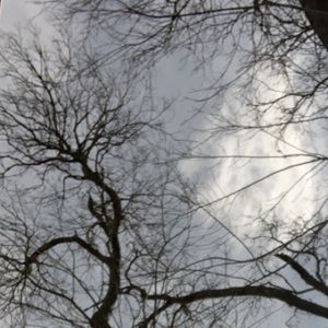 Meet your Posher, Kylie